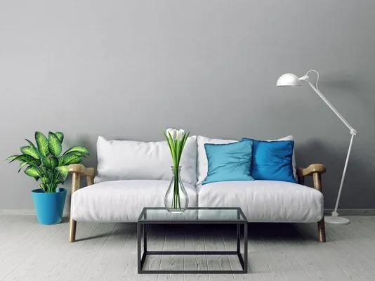 Sofa mit Pflanze, Lampe und Couchtisch