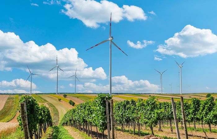 Feld mit Windrädern zur Stromerzeugung